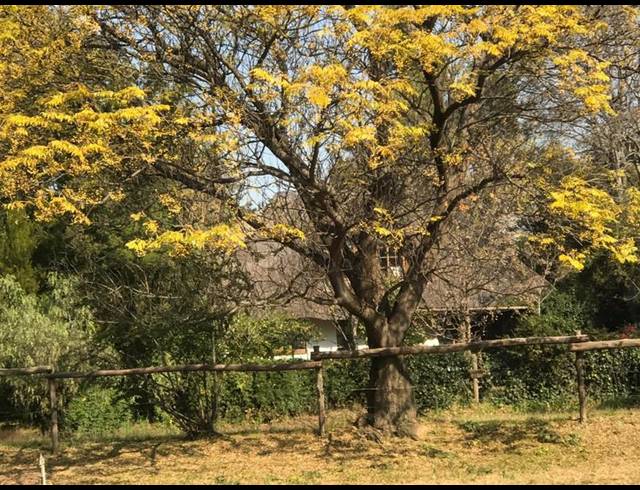 FARM FOR SALE IN GLENFERNESS